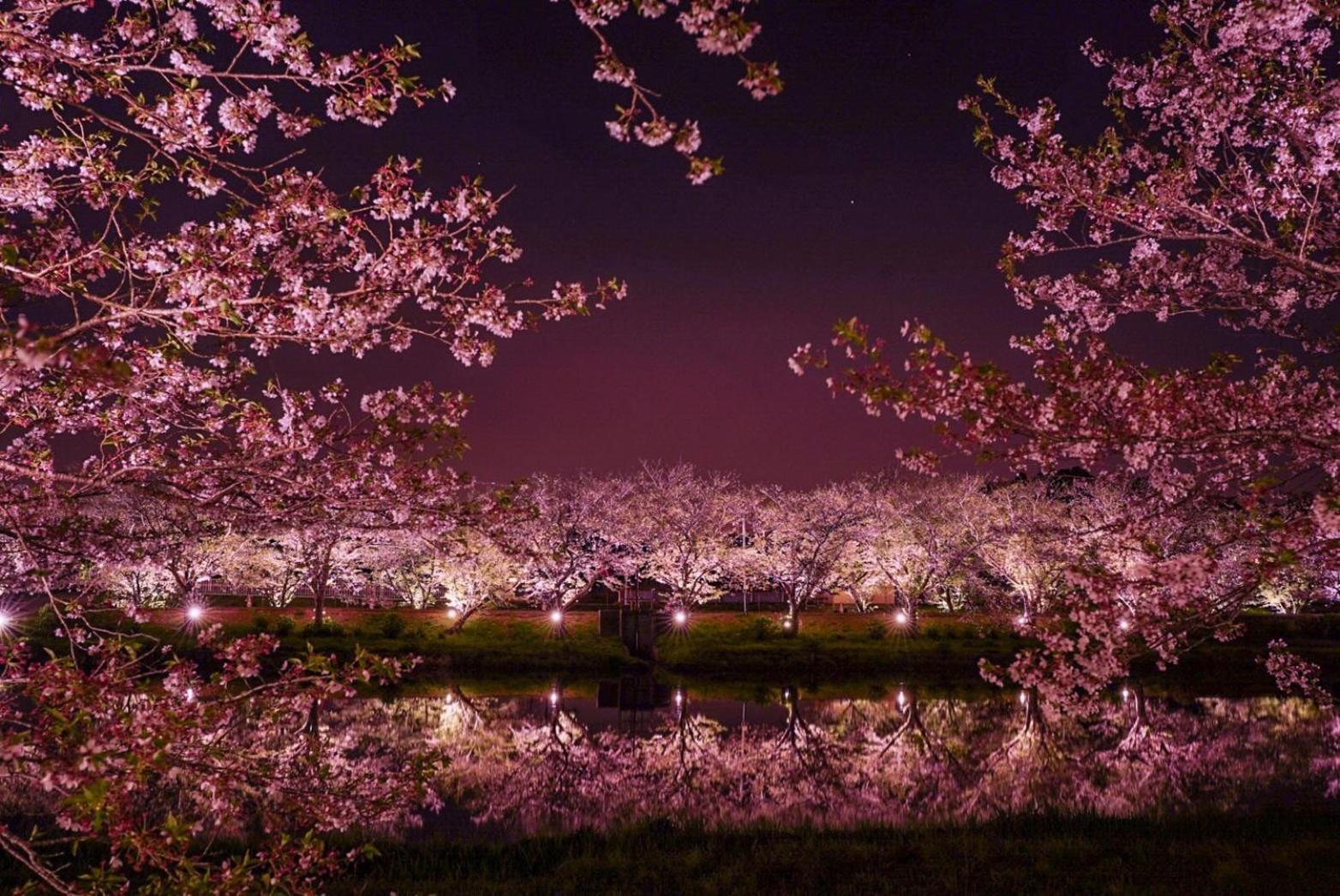Masugataya Ryokan Tako Dış mekan fotoğraf